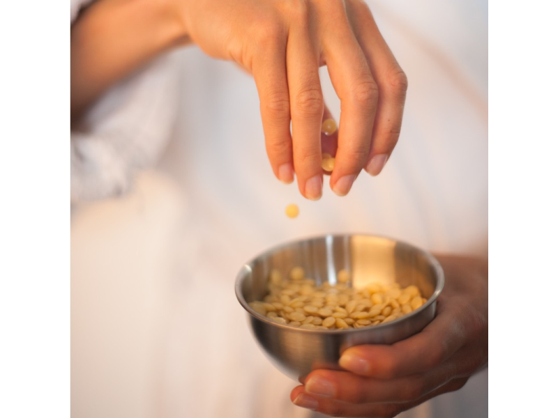 Acorelle Certified Organic Hair Removal Royal Wax™ Beads Kit