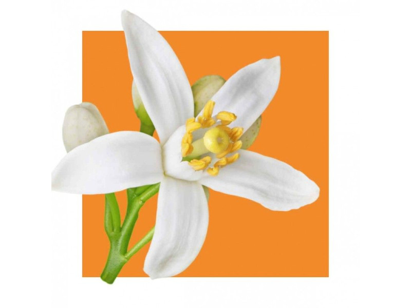 Acorelle Certified Organic Eau de Parfum Bio OPTIMISM