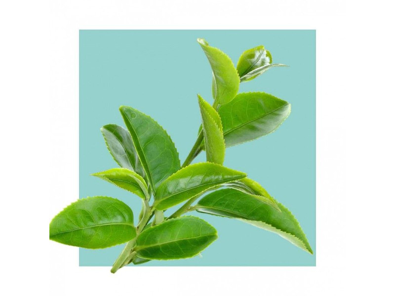 Acorelle Certified Organic Eau de Parfum Bio RELAX